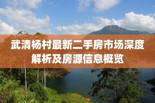 武清楊村最新二手房市場深度解析及房源信息概覽