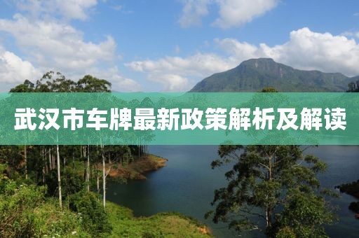 武漢市車牌最新政策解析及解讀