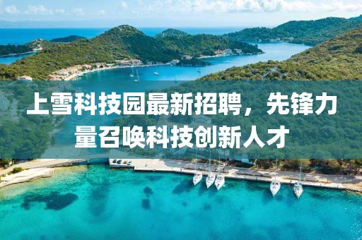 上雪科技園最新招聘，先鋒力量召喚科技創(chuàng)新人才