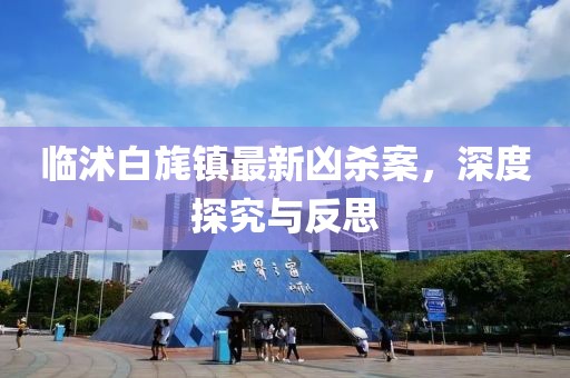 臨沭白旄鎮(zhèn)最新兇殺案，深度探究與反思