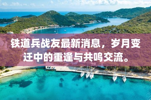 鐵道兵戰(zhàn)友最新消息，歲月變遷中的重逢與共鳴交流。
