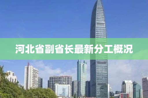 河北省副省長最新分工概況