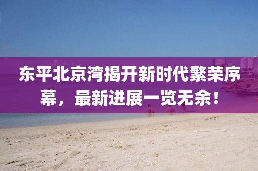 東平北京灣揭開新時代繁榮序幕，最新進(jìn)展一覽無余！