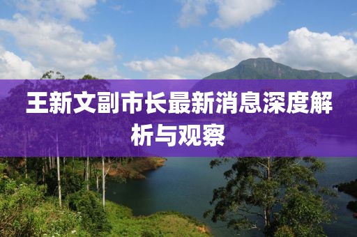 王新文副市長最新消息深度解析與觀察