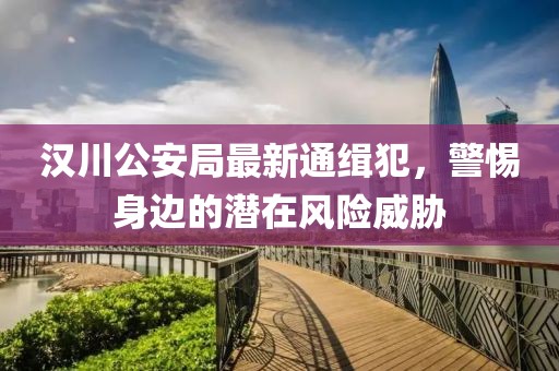 漢川公安局最新通緝犯，警惕身邊的潛在風(fēng)險(xiǎn)威脅