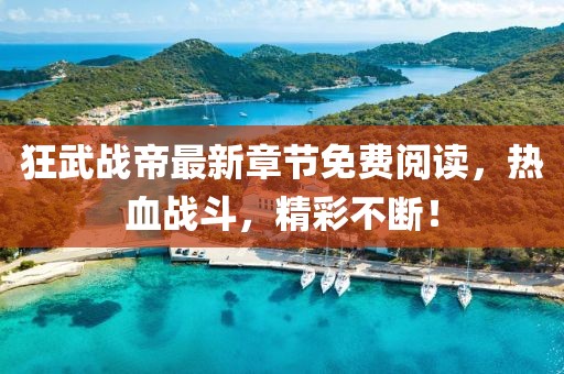 狂武戰(zhàn)帝最新章節(jié)免費閱讀，熱血戰(zhàn)斗，精彩不斷！