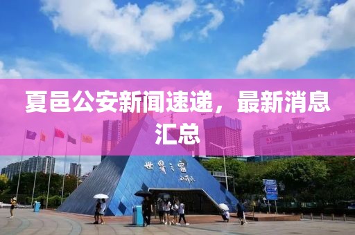 夏邑公安新聞速遞，最新消息匯總