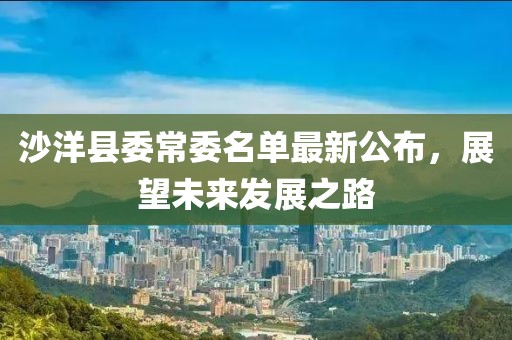 沙洋縣委常委名單最新公布，展望未來發(fā)展之路