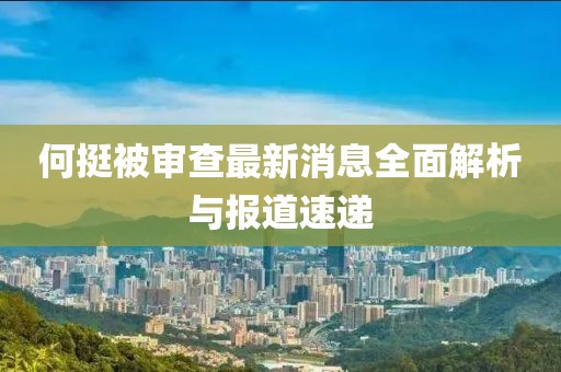 何挺被審查最新消息全面解析與報道速遞