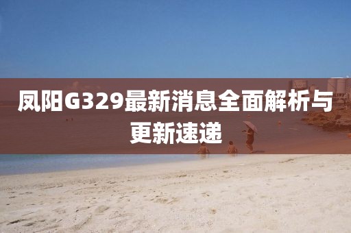 鳳陽(yáng)G329最新消息全面解析與更新速遞