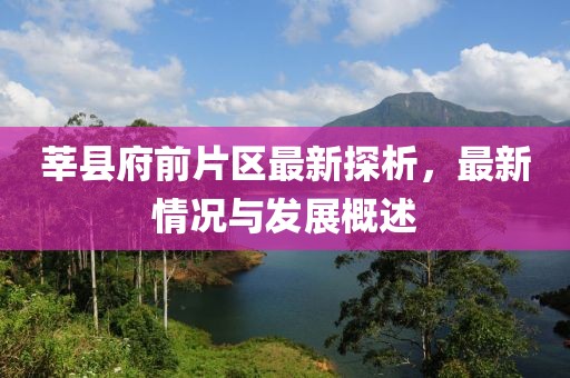 莘縣府前片區(qū)最新探析，最新情況與發(fā)展概述