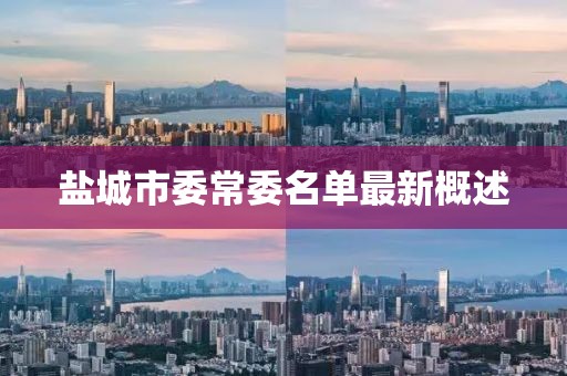 鹽城市委常委名單最新概述