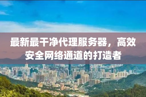 最新最干凈代理服務(wù)器，高效安全網(wǎng)絡(luò)通道的打造者