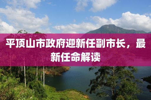 平頂山市政府迎新任副市長(zhǎng)，最新任命解讀