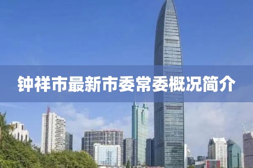 鐘祥市最新市委常委概況簡(jiǎn)介