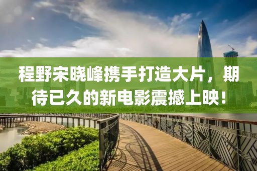 程野宋曉峰攜手打造大片，期待已久的新電影震撼上映！