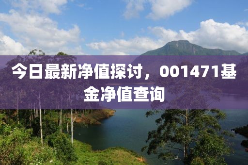 今日最新凈值探討，001471基金凈值查詢