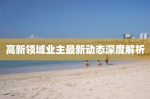 高新領(lǐng)域業(yè)主最新動態(tài)深度解析