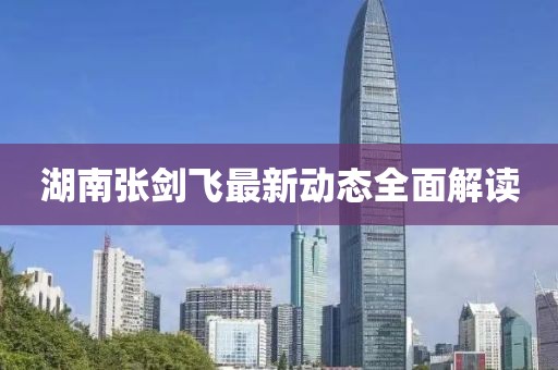 湖南張劍飛最新動態(tài)全面解讀