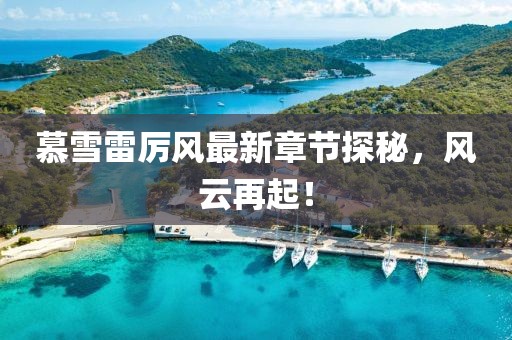 慕雪雷厲風最新章節(jié)探秘，風云再起！