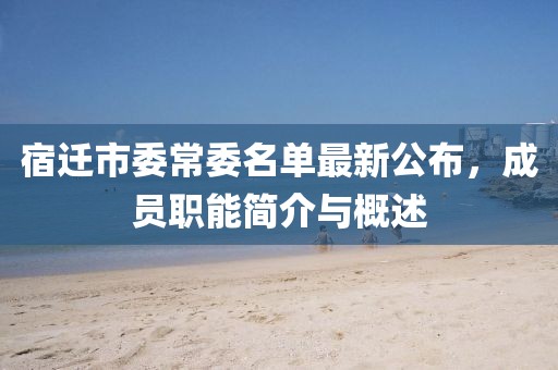 宿遷市委常委名單最新公布，成員職能簡介與概述