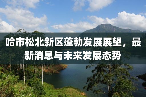哈市松北新區(qū)蓬勃發(fā)展展望，最新消息與未來發(fā)展態(tài)勢
