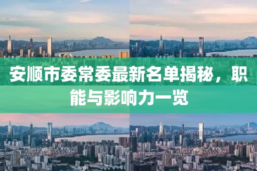 安順市委常委最新名單揭秘，職能與影響力一覽