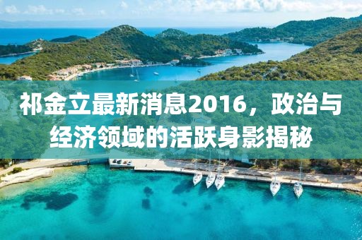 祁金立最新消息2016，政治與經(jīng)濟領(lǐng)域的活躍身影揭秘