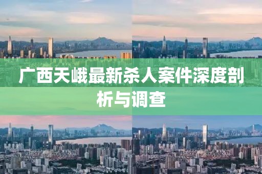 廣西天峨最新殺人案件深度剖析與調(diào)查