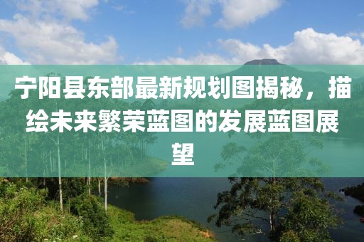 寧陽縣東部最新規(guī)劃圖揭秘，描繪未來繁榮藍(lán)圖的發(fā)展藍(lán)圖展望