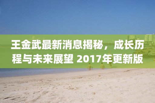 王金武最新消息揭秘，成長歷程與未來展望 2017年更新版