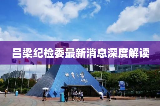 呂梁紀(jì)檢委最新消息深度解讀