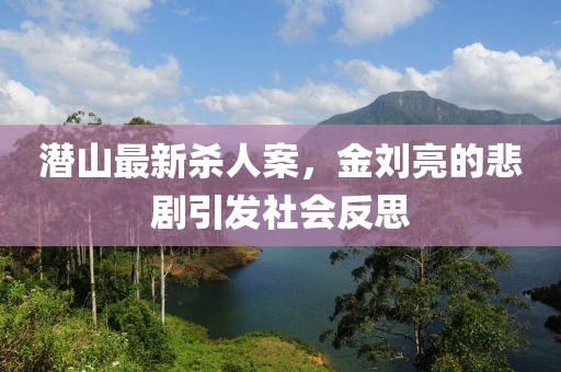 潛山最新殺人案，金劉亮的悲劇引發(fā)社會(huì)反思