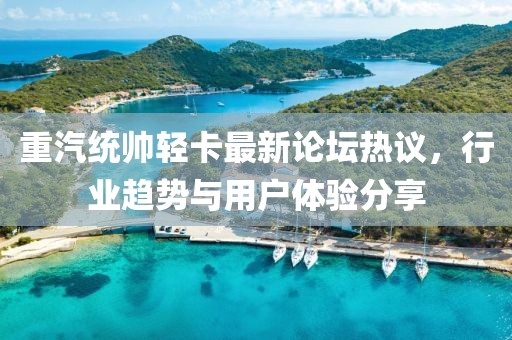 重汽統(tǒng)帥輕卡最新論壇熱議，行業(yè)趨勢與用戶體驗(yàn)分享