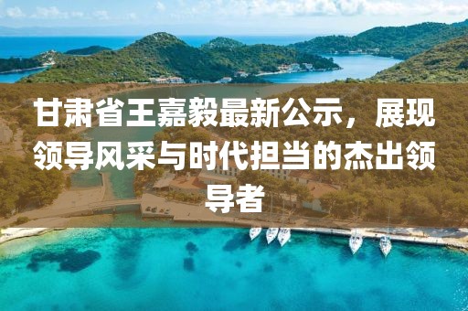 甘肅省王嘉毅最新公示，展現(xiàn)領(lǐng)導(dǎo)風(fēng)采與時(shí)代擔(dān)當(dāng)?shù)慕艹鲱I(lǐng)導(dǎo)者