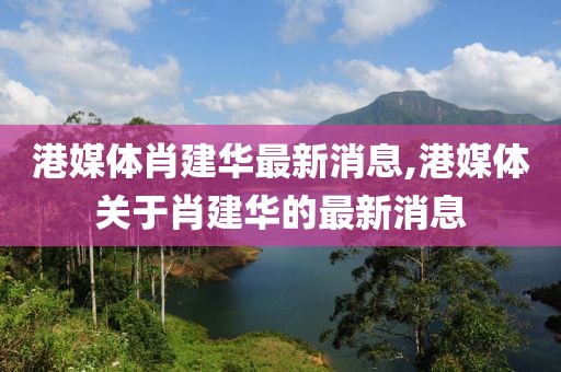 港媒體肖建華最新消息,港媒體關(guān)于肖建華的最新消息