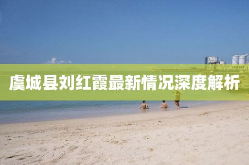 虞城縣劉紅霞最新情況深度解析