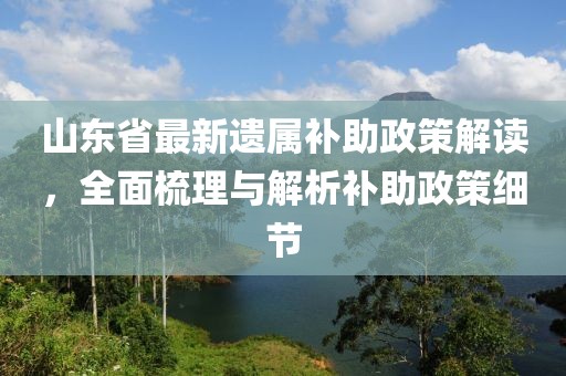 山東省最新遺屬補(bǔ)助政策解讀，全面梳理與解析補(bǔ)助政策細(xì)節(jié)