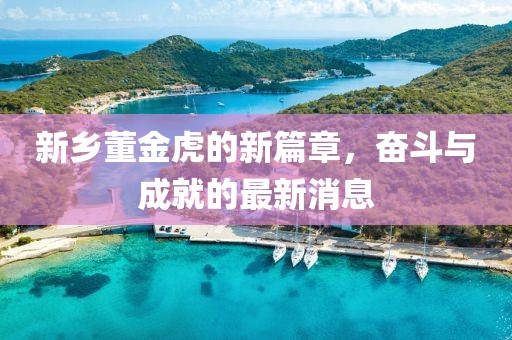 新鄉(xiāng)董金虎的新篇章，奮斗與成就的最新消息
