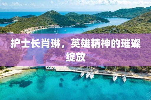 護士長肖琳，英雄精神的璀璨綻放