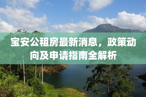 寶安公租房最新消息，政策動向及申請指南全解析