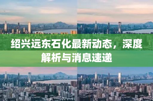 紹興遠(yuǎn)東石化最新動(dòng)態(tài)，深度解析與消息速遞
