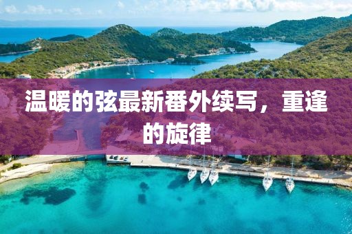 溫暖的弦最新番外續(xù)寫，重逢的旋律