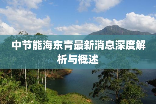 中節(jié)能海東青最新消息深度解析與概述