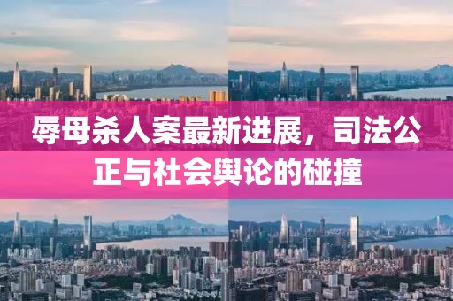 辱母殺人案最新進(jìn)展，司法公正與社會(huì)輿論的碰撞
