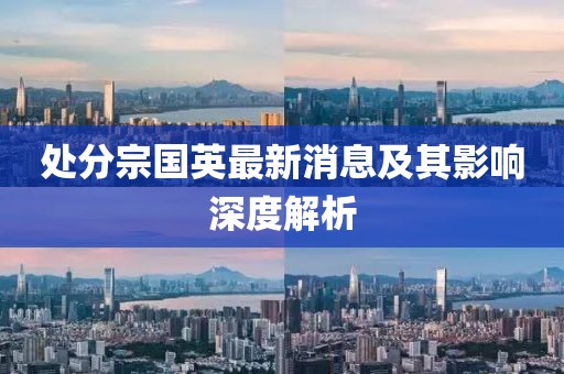 處分宗國英最新消息及其影響深度解析