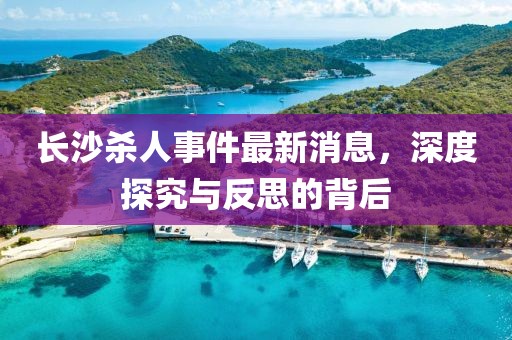 長沙殺人事件最新消息，深度探究與反思的背后