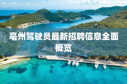 亳州駕駛員最新招聘信息全面概覽