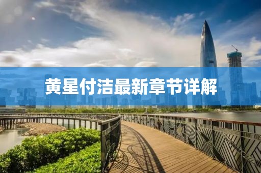 黃星付潔最新章節(jié)詳解