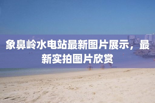 象鼻嶺水電站最新圖片展示，最新實拍圖片欣賞
